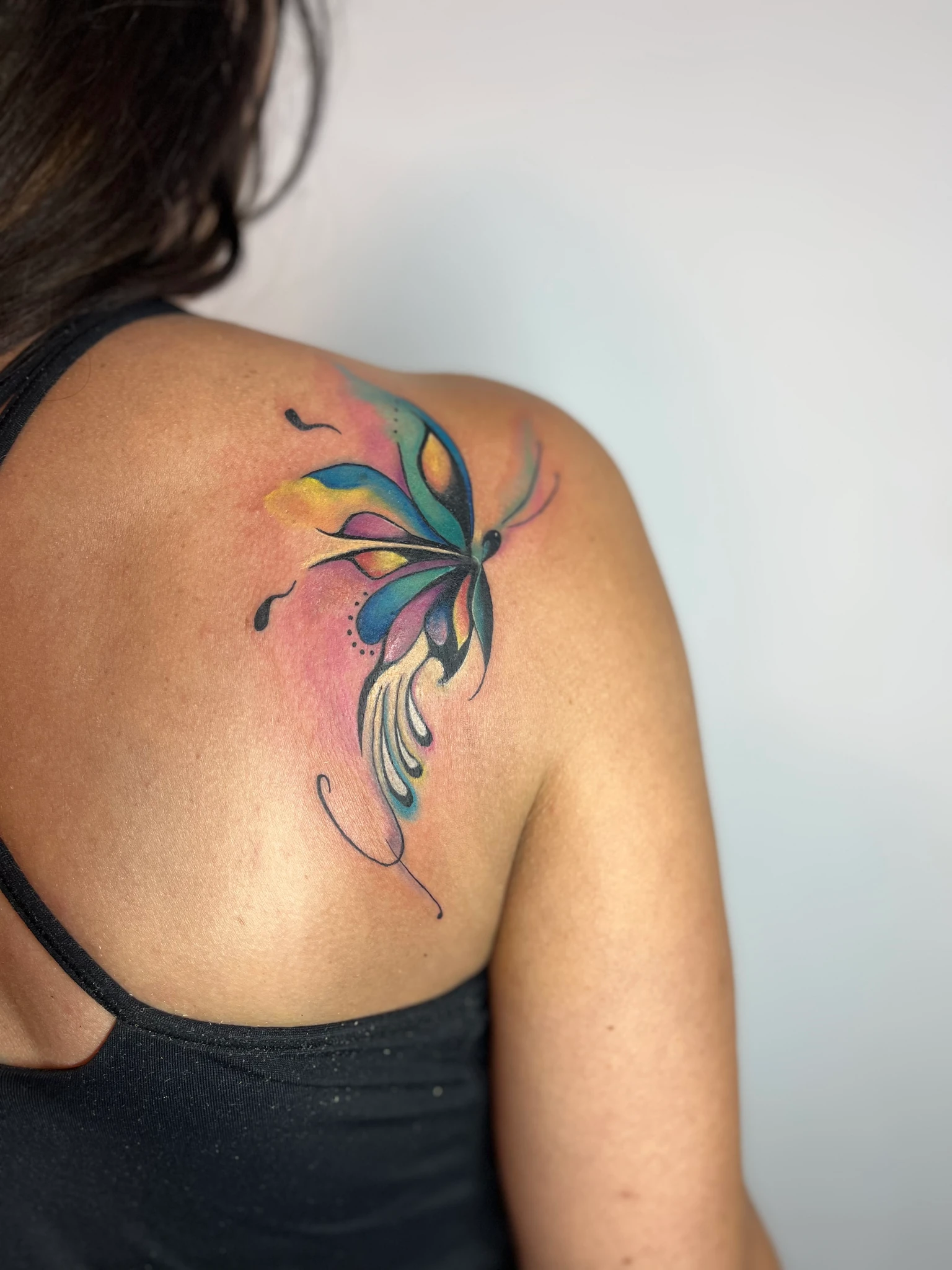 butterfly