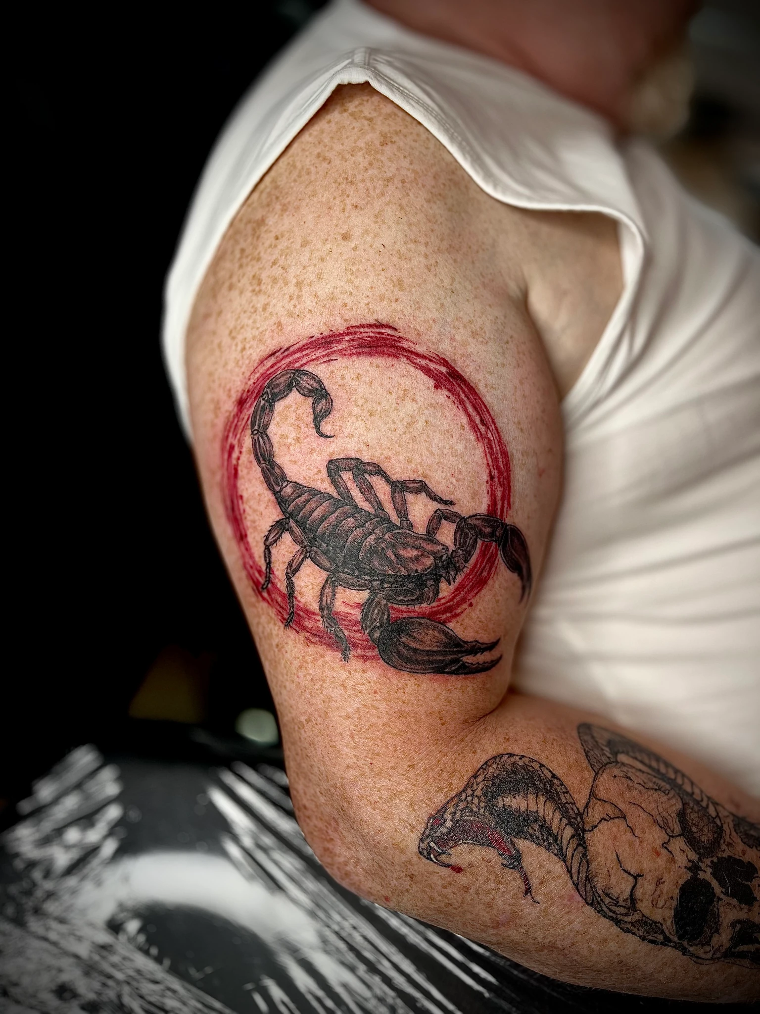 Scorpion